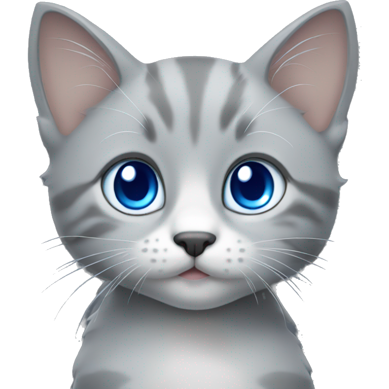 Grey kitten with blue eyes
