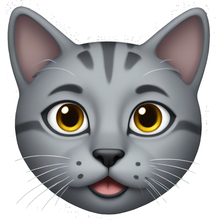 Grey kitty with black eyes