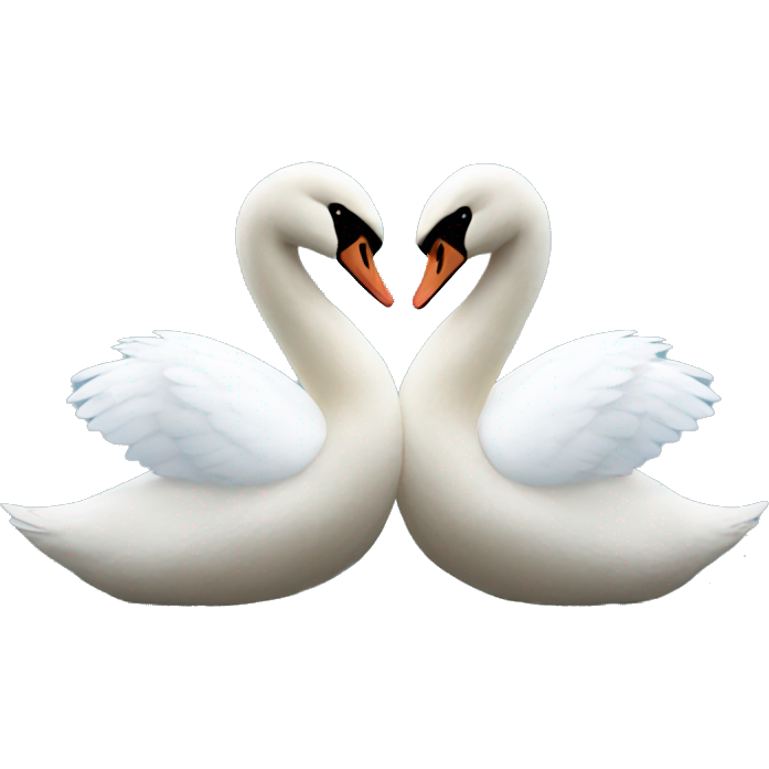 2 swans kissing