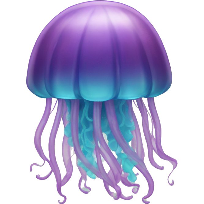 Jellyfish