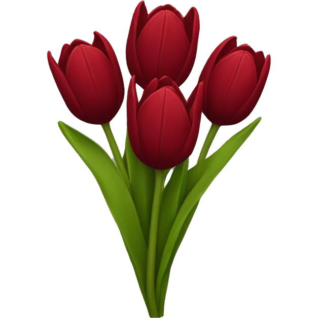 Dark red tulip bouquet