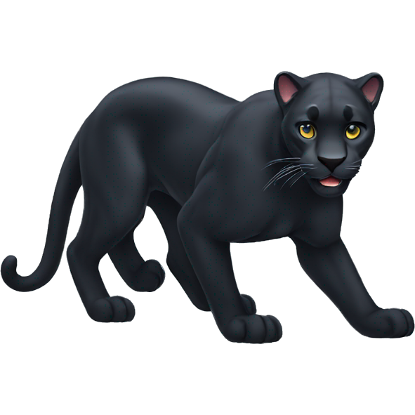 Panther