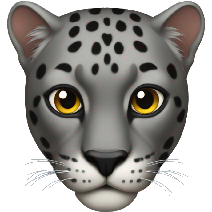 Panther