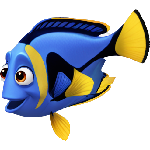 Dory nemo
