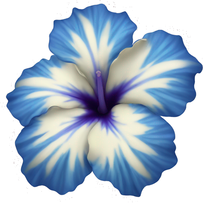 Blue hibiscus flower