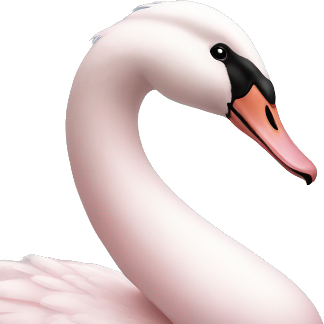 Light pink swan