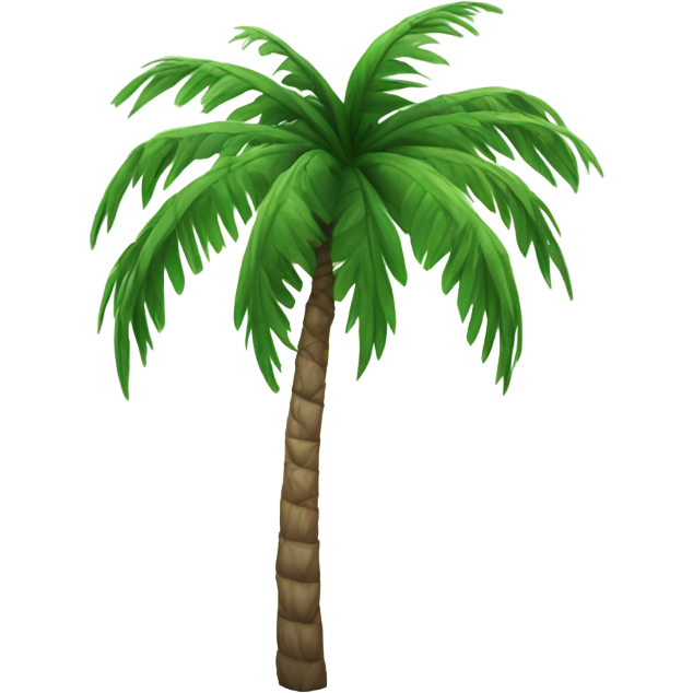 Palm