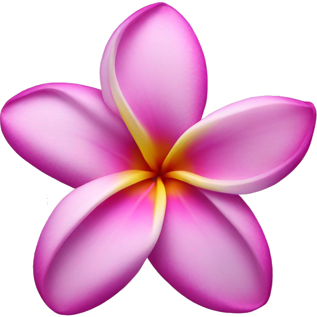 Plumeria pink with purple in the middle