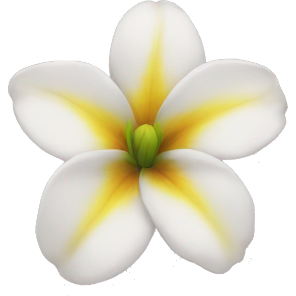 Flor