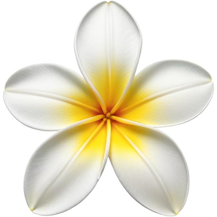 Plumeria flower with five white petals and yellow center