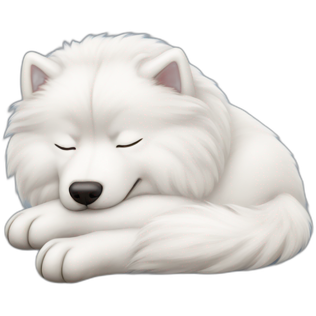 Samoyed sleeping