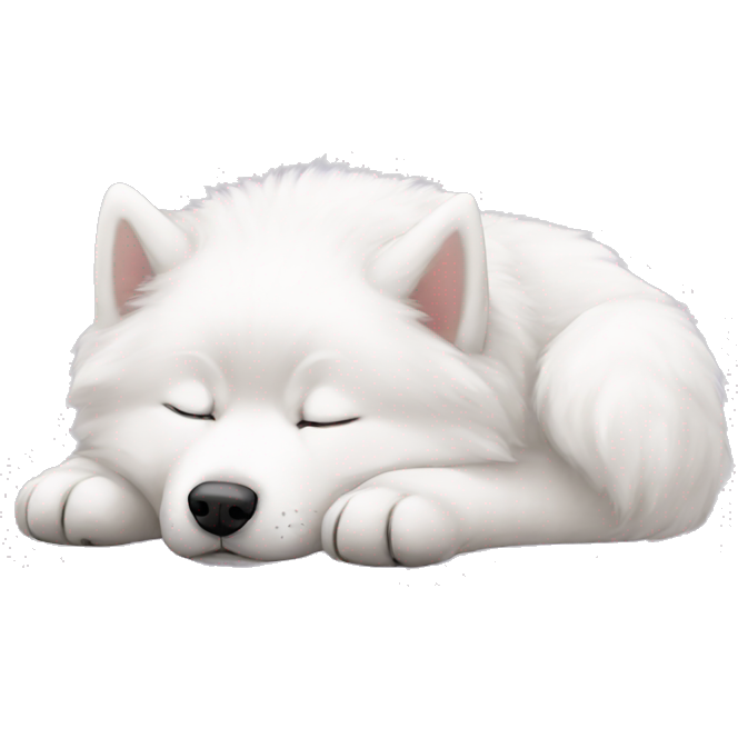 Samoyed sleeping