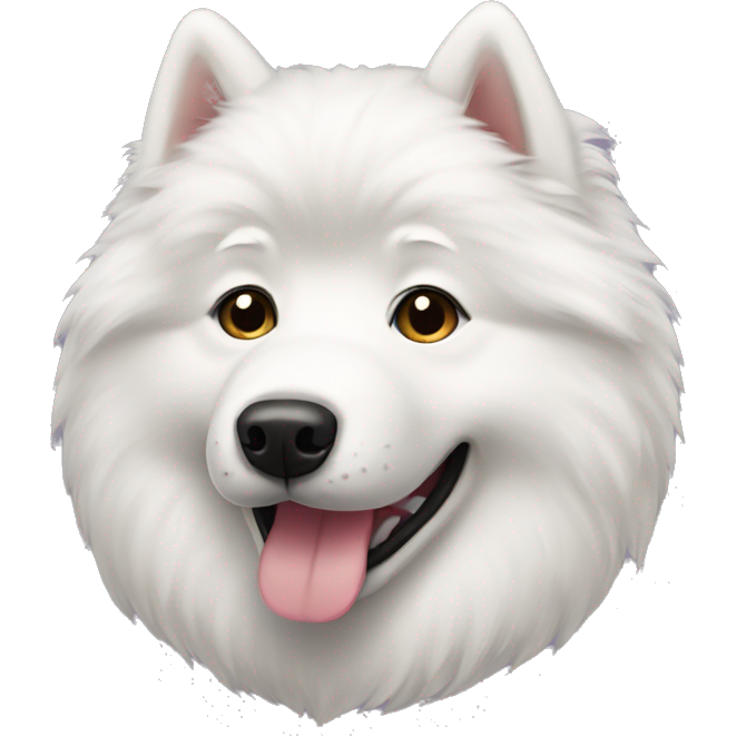 Samoyed