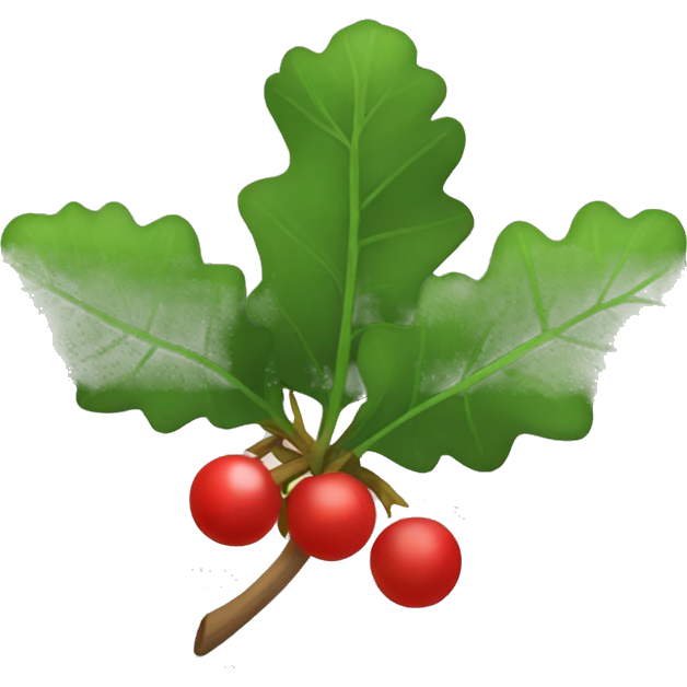 Mistletoe