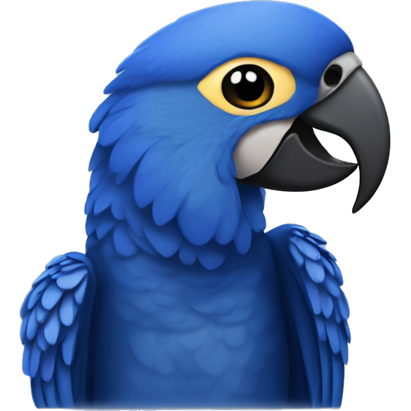 Hyacinth macaw
