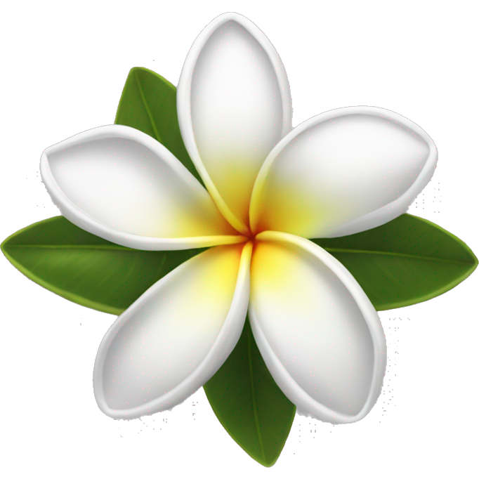 Frangipani white
