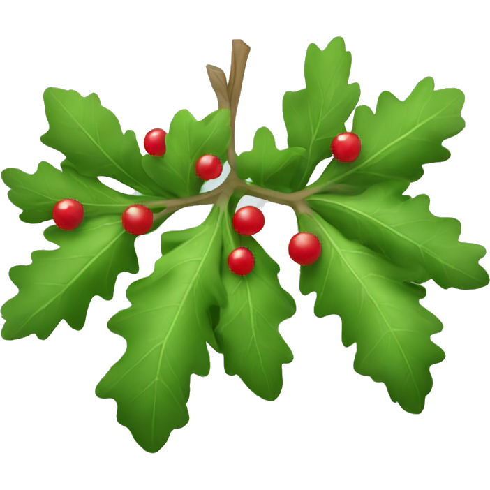 Mistletoe