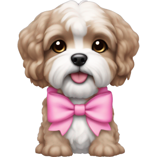Brown schichon puppy with pink bow