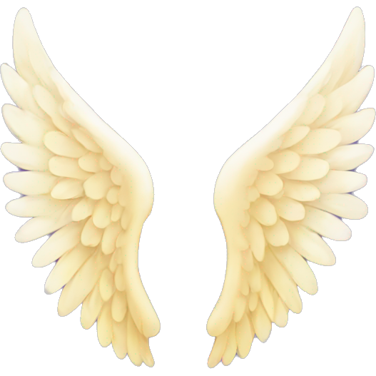 Angel wings