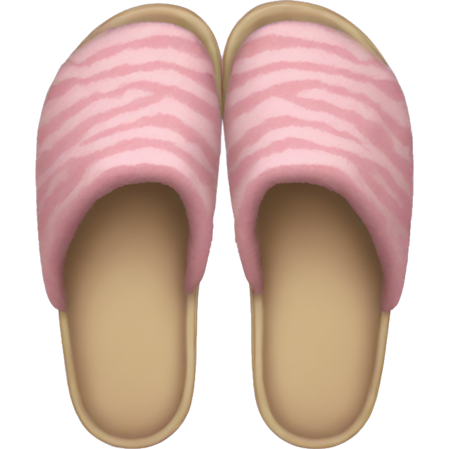 Aesthetic slippers
