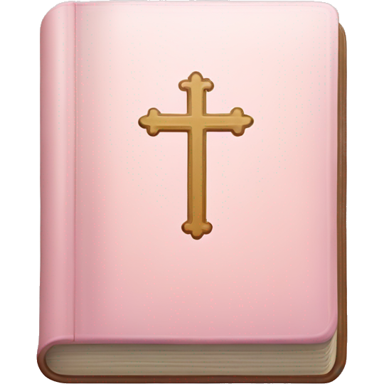 Light pink Holy Bible