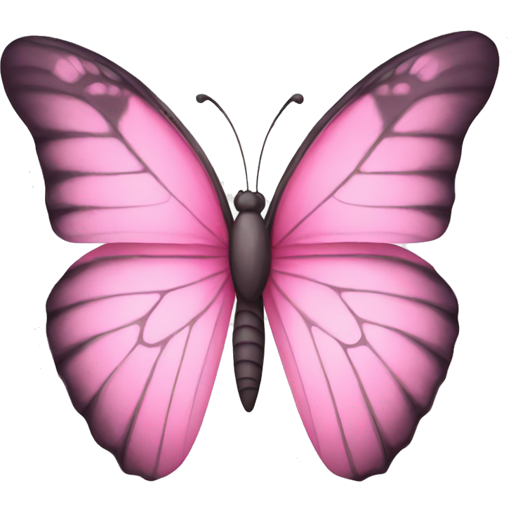 Pretty pink butterfly