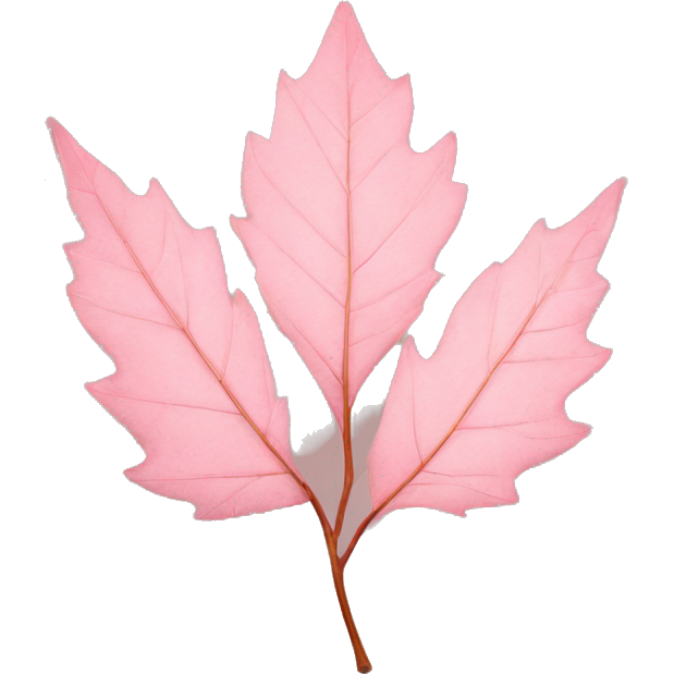 Autumn light pink leaf