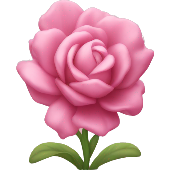 Pink flo
