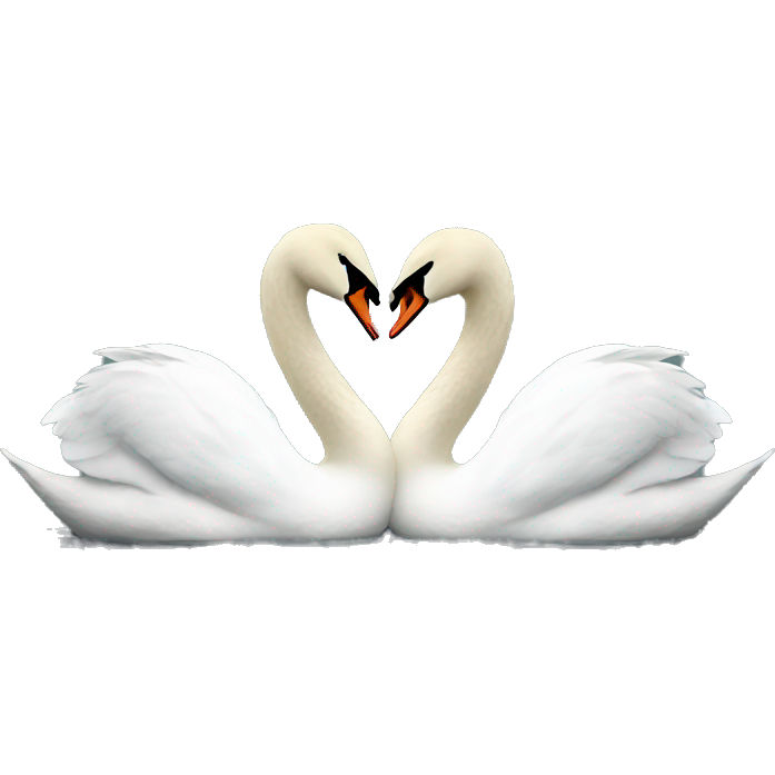 2 swans making a heart