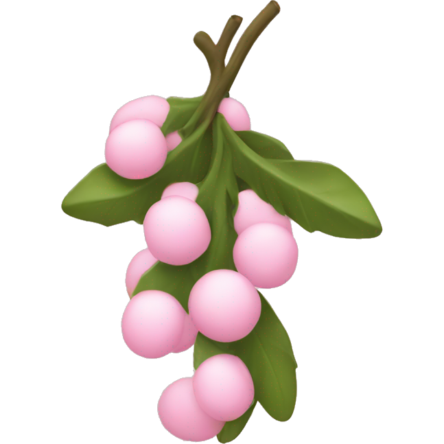 Light pink mistletoe