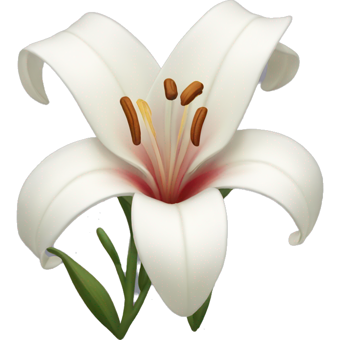 Lillies