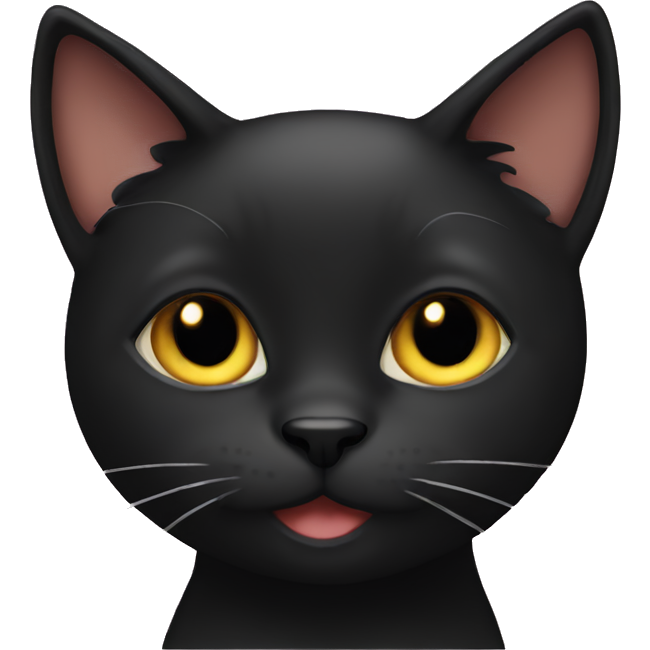 Black cat cute