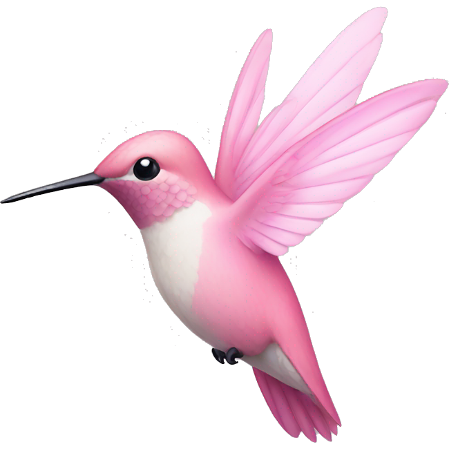 Pastel pink hummingbird