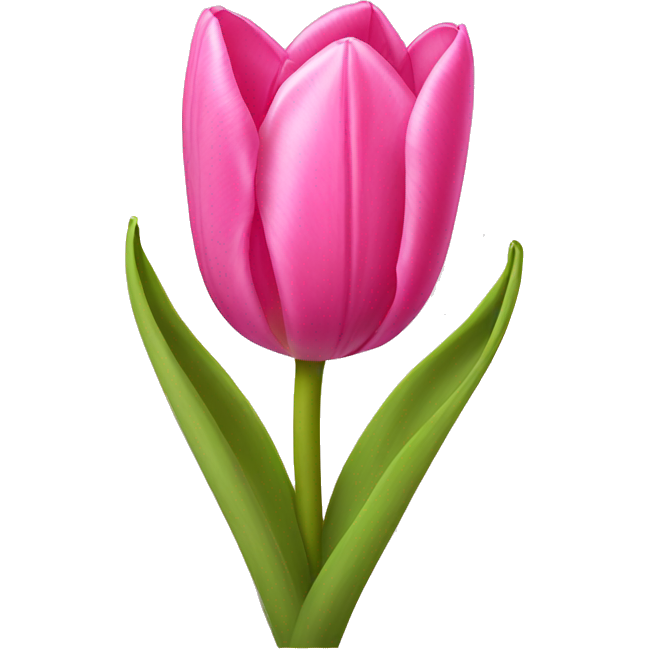 Pink tulips with a bow