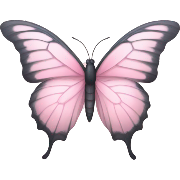Pastel pink butterfly