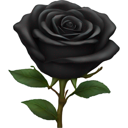 Black rose