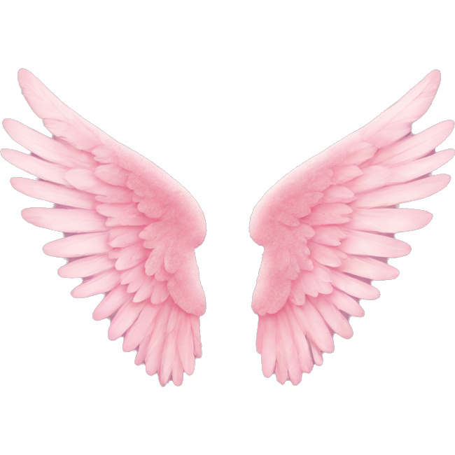 Victoria’s Secret wings