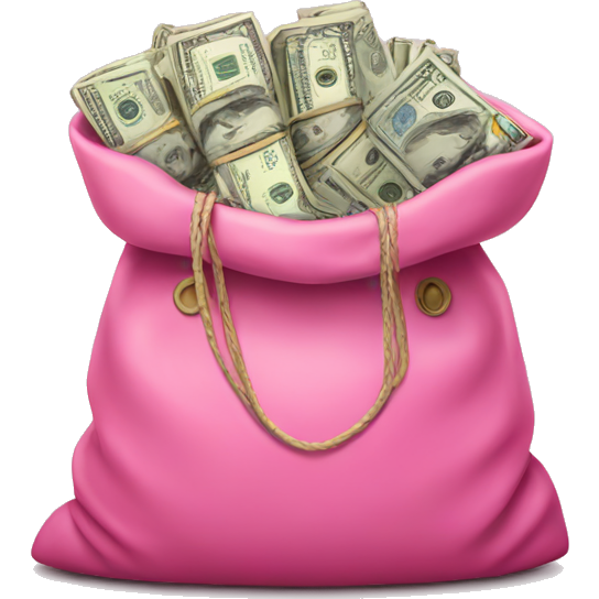 Pink bag full of money