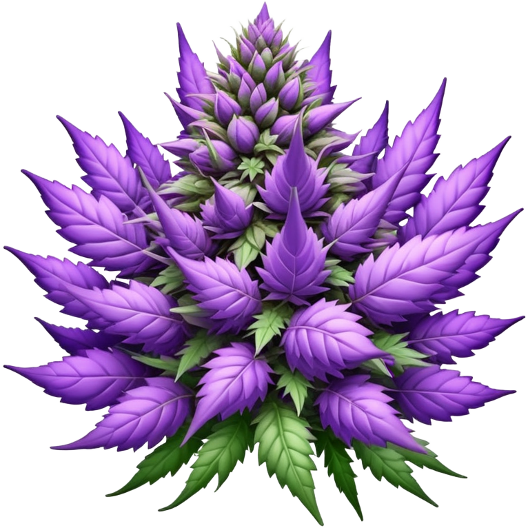 Purple weed
