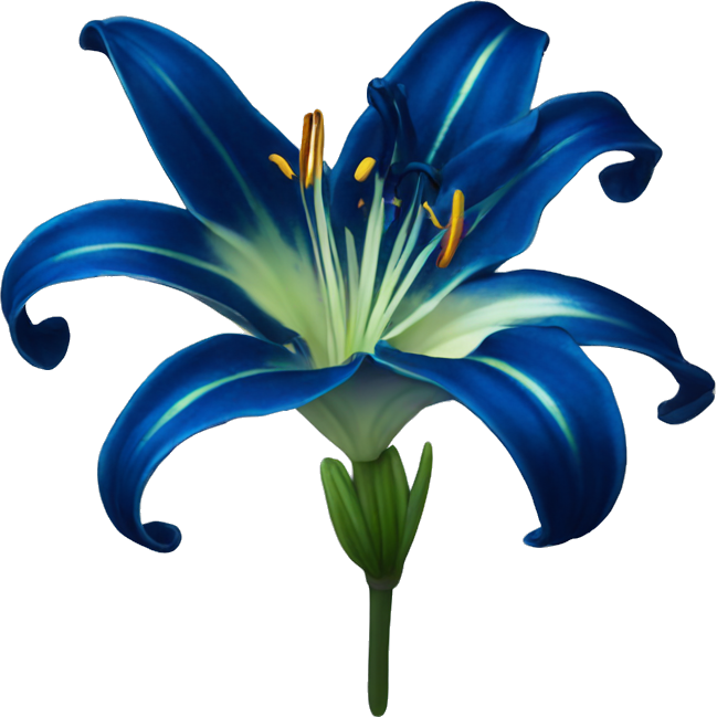 Dark blue stargazer lily
