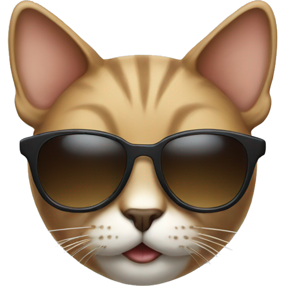 Cat with sunglasses