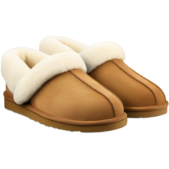 UGG slippers
