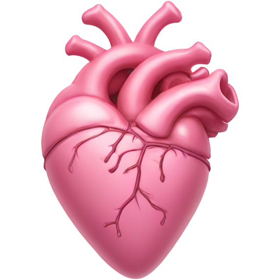 Pink anatomical heart pastel pink with bow
