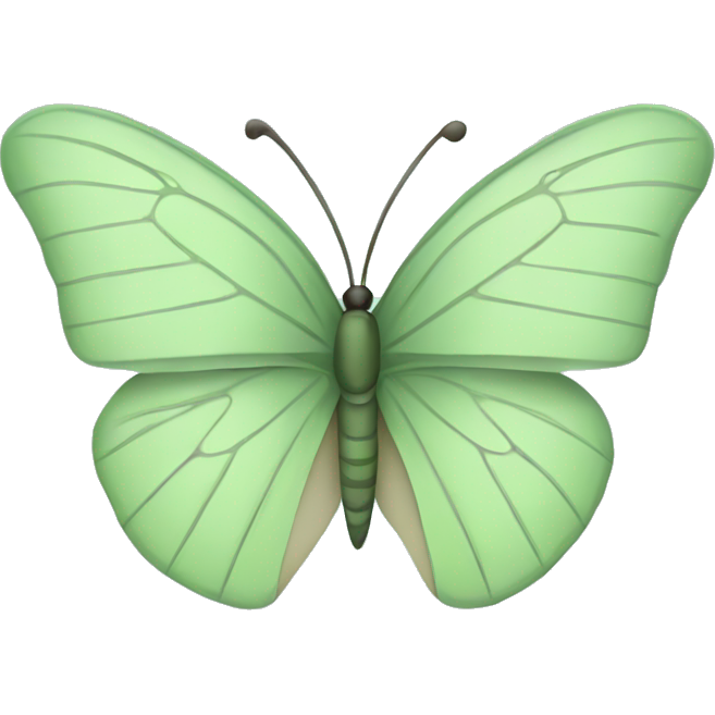 Sage green butterfly