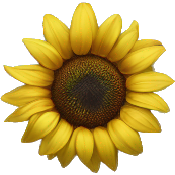 Sunflower on wedding dress
