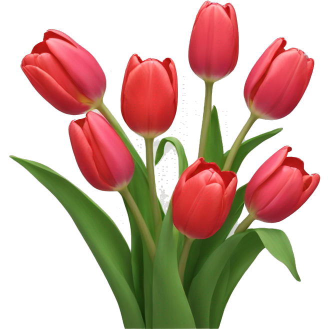 Tulips