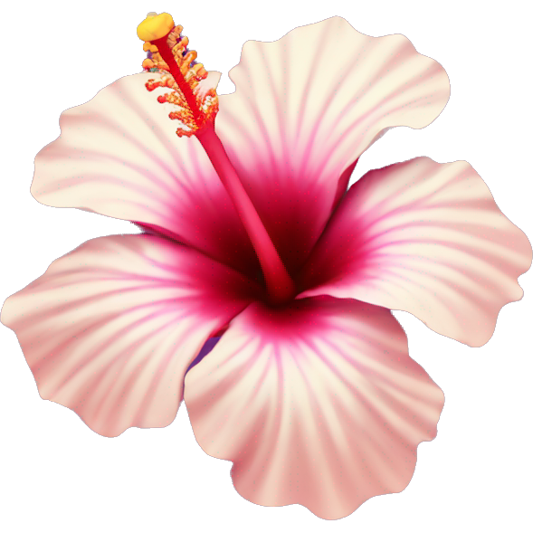 Hibiscus flower