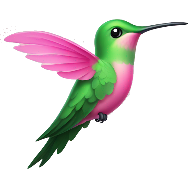 Cute pink and green hummingbird