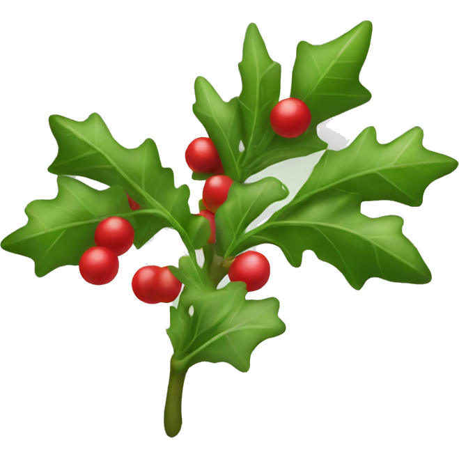 Mistletoe