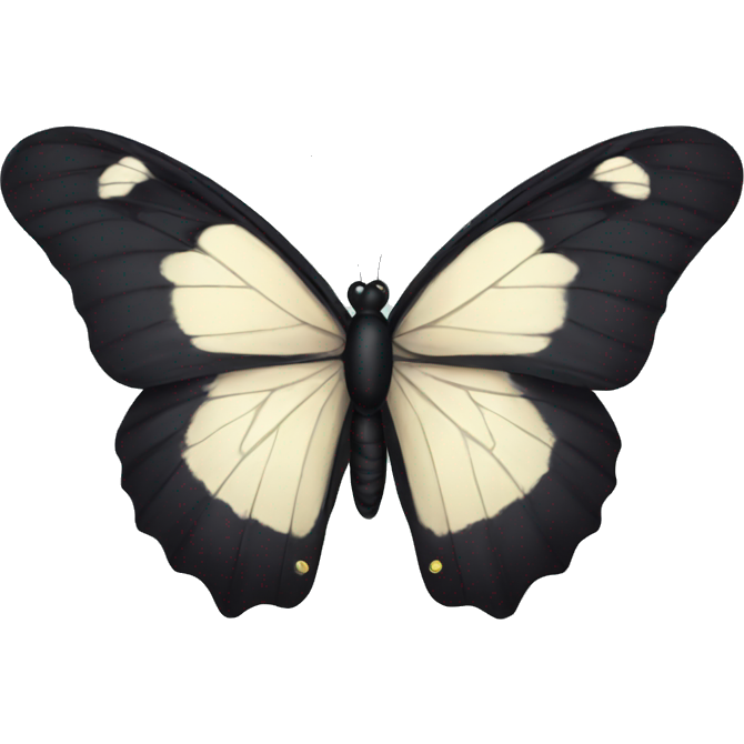 Black butterfly